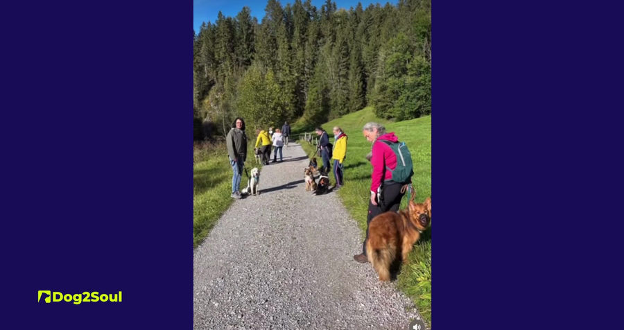 Allgäu 2022 Tag 1